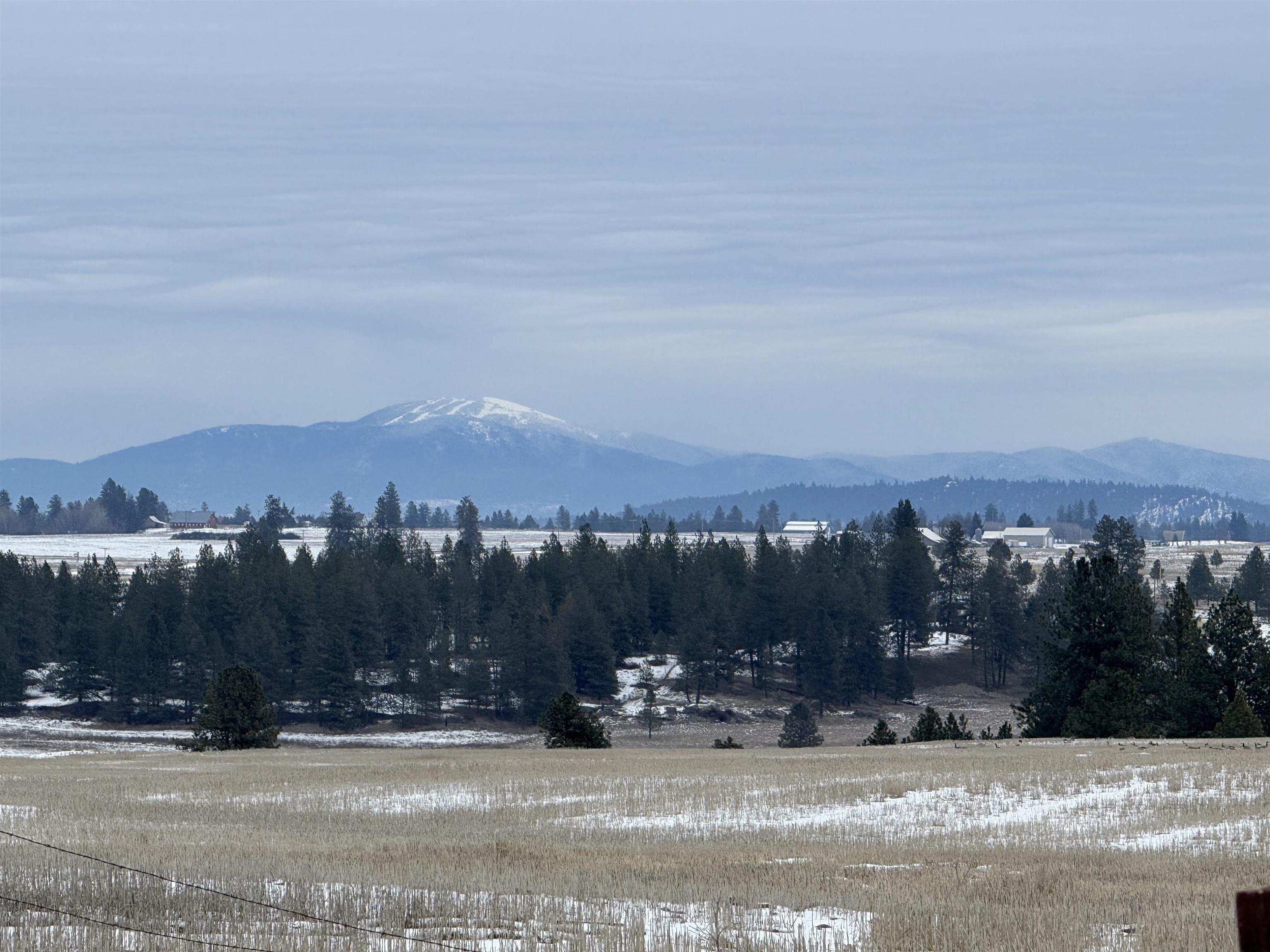 15211 North Wood Road Ford, WA 99013 - Photo 33 of 33