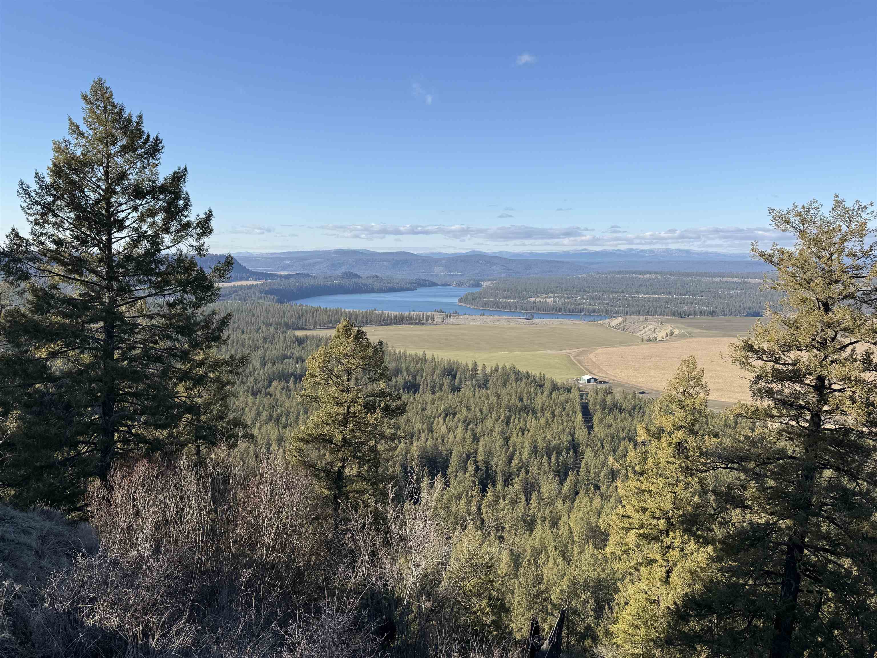 15211 North Wood Road Ford, WA 99013 - Photo 4 of 33