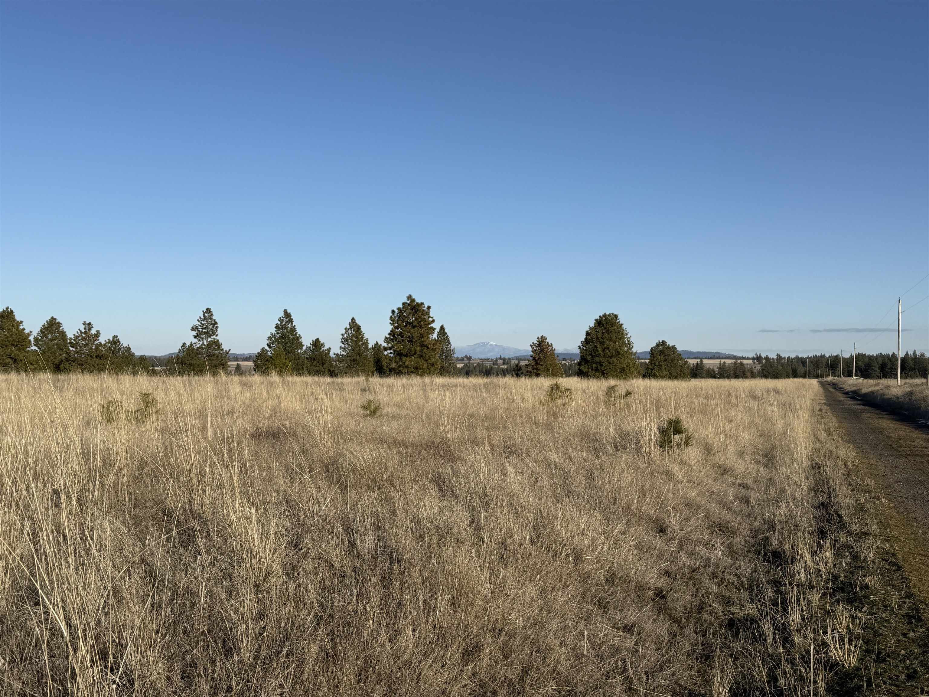 15211 North Wood Road Ford, WA 99013 - Photo 5 of 33