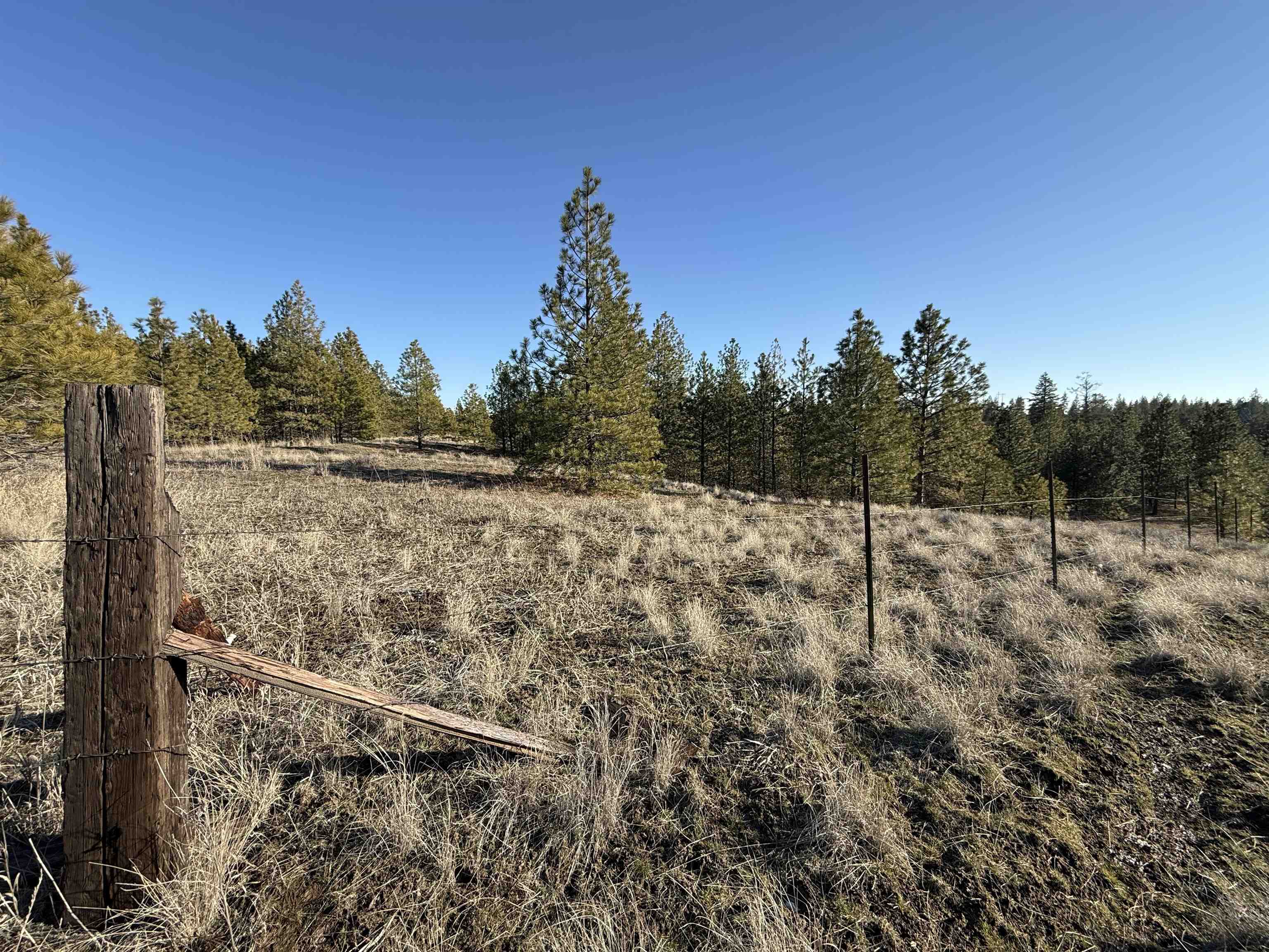 15211 North Wood Road Ford, WA 99013 - Photo 9 of 33