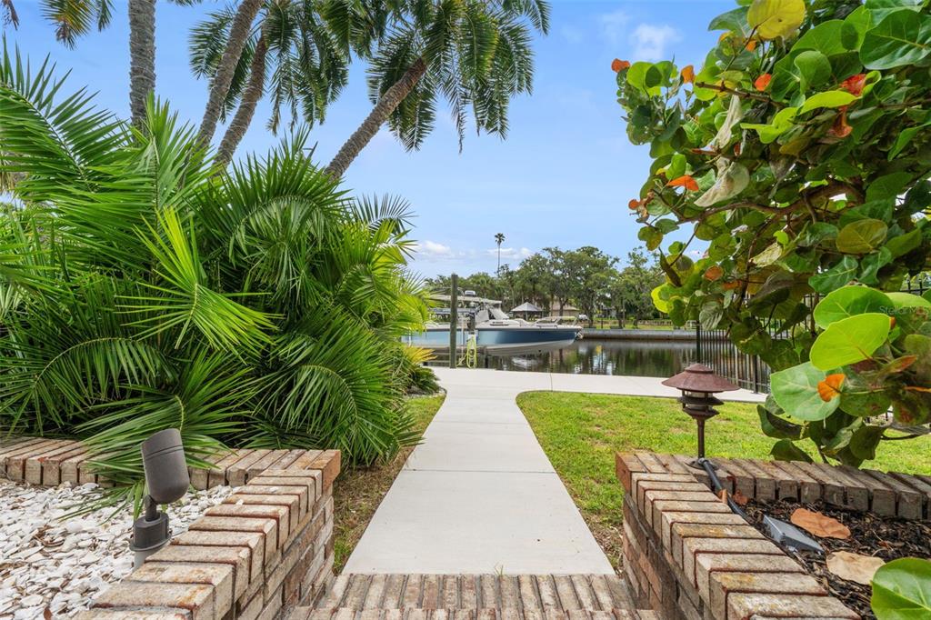 6936 River Road New Port Richey, FL 34652 - Photo 74 of 93 a view of a backyard with potted plants