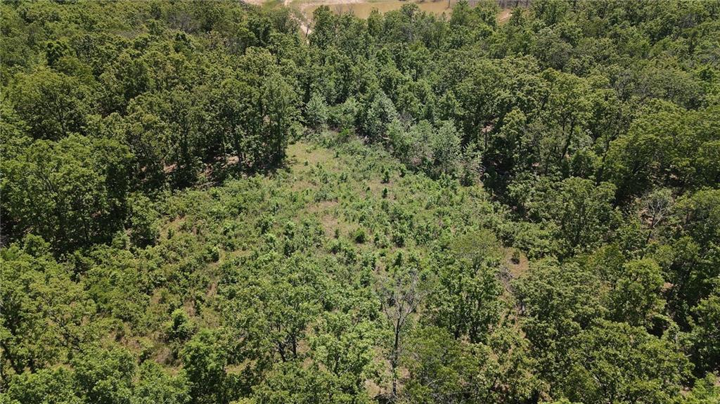 Tbd Kolb Hollow Road Climax Springs, MO 65324 - Photo 34 of 36
