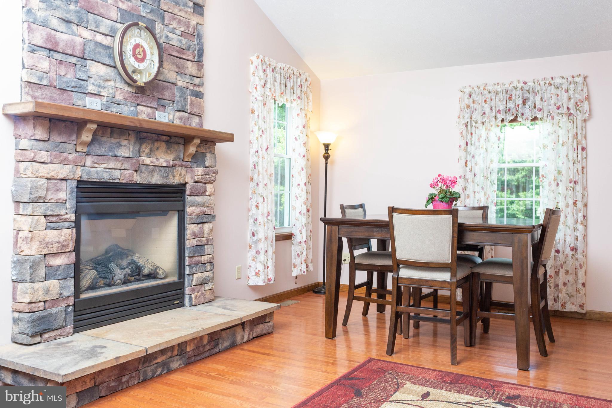 13 Boyle Court Rising Sun, MD 21911 - Photo 8 of 84 Gas Fire place