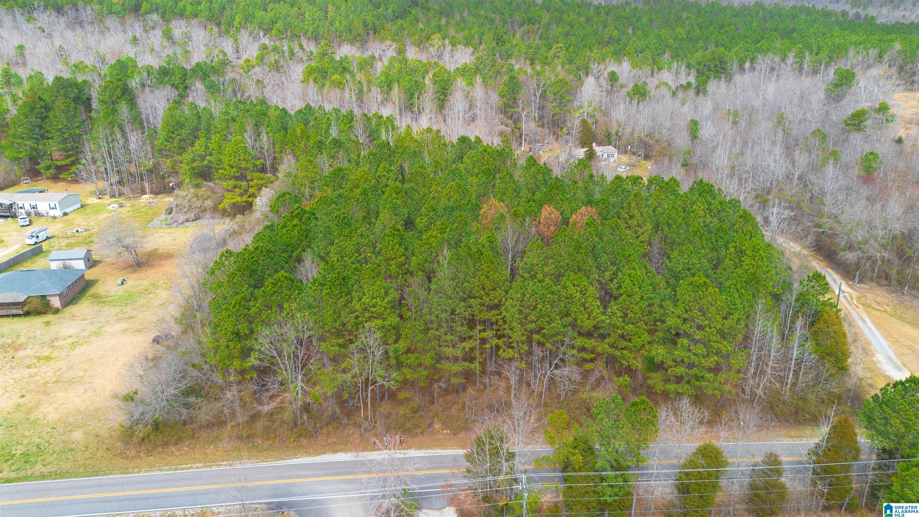 0 Shoal Creek Road Ashville, AL 35953 - Photo 7 of 10