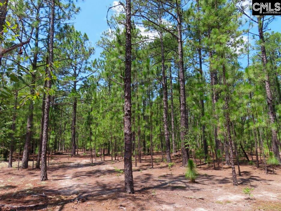 3915 Old Georgetown Road West Kershaw, SC 29067 - Photo 25 of 64 Gallery Image 25