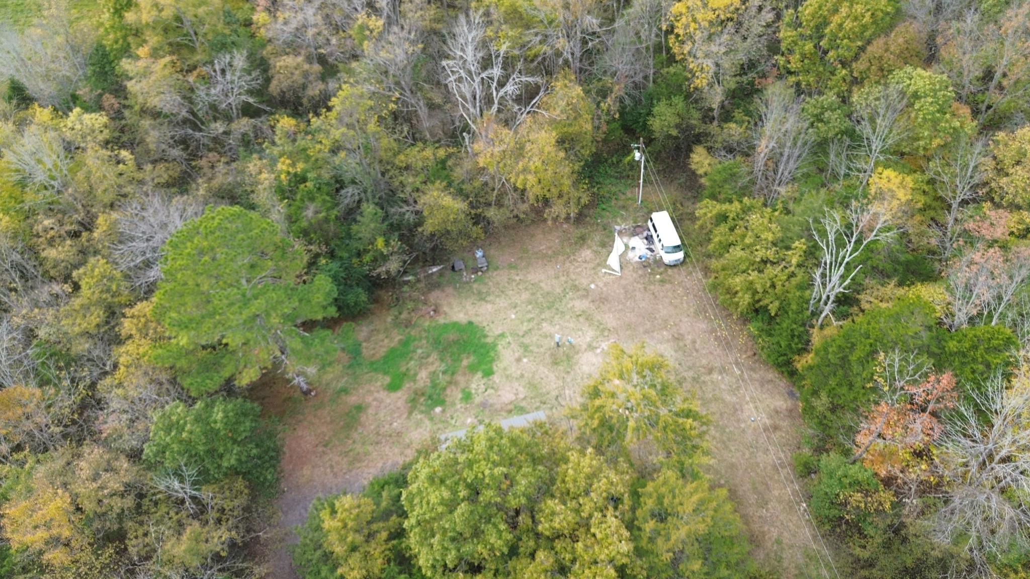 a close up of a trees
