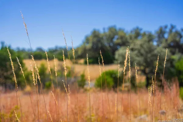 a view of city and ocean