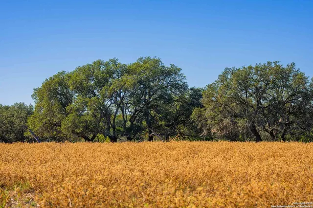 a view of a yard covered with snow