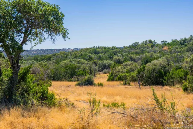 a view of yard with tree in front of it