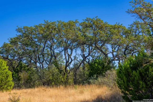 a view of a lake view