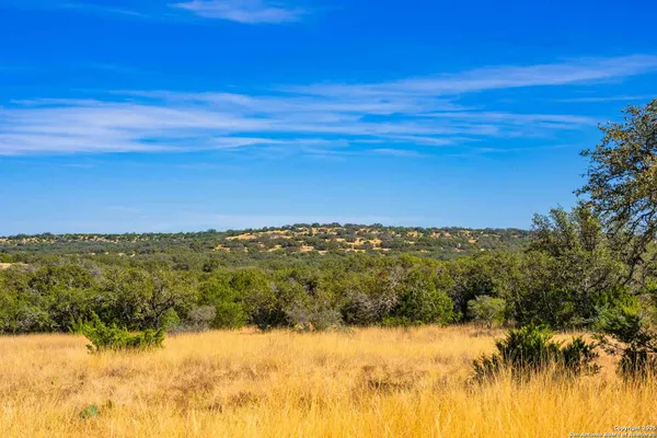 a view of a green field