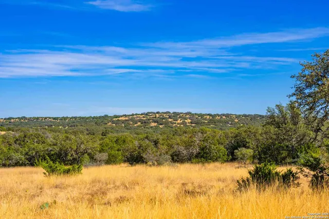 a view of a green field