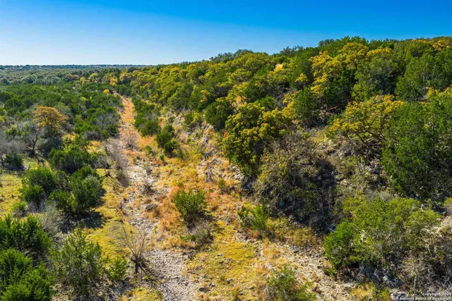 a view of a bunch of trees and bushes