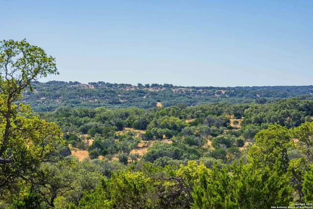 view of a dry field with a tree in the background