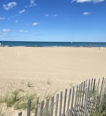 507 Greenleaf Avenue Wilmette, IL 60091 - Photo 48 of 53