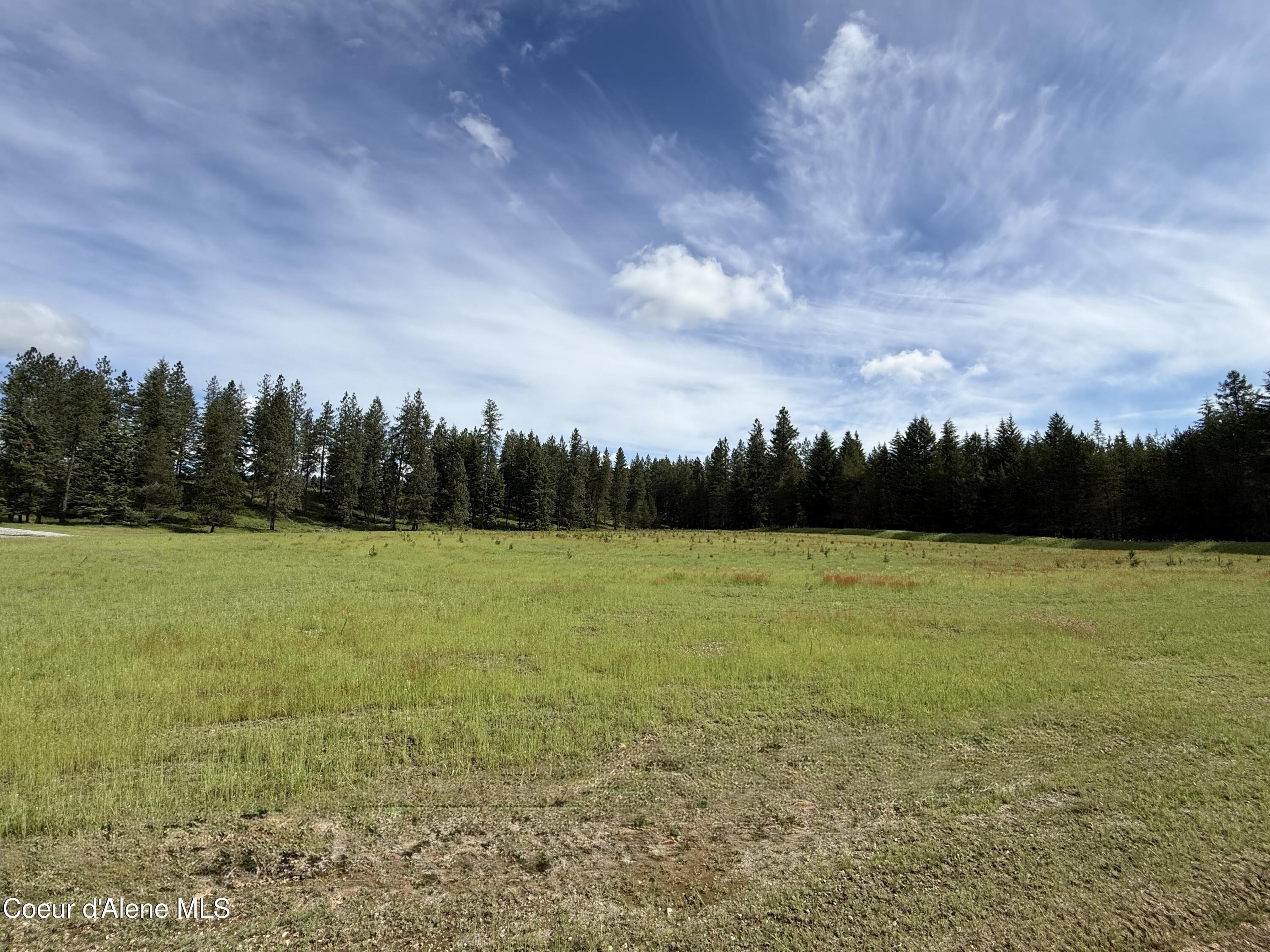 Lot 15 North Stonemason Way Rathdrum, ID 83858 - Photo 4 of 6 6.3 acres to personalize and call home.