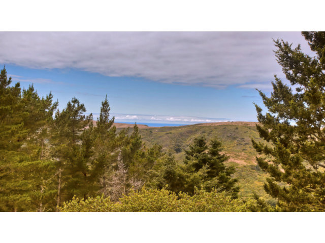 500 Irish Ridge Road Half Moon Bay, CA 94019 - Photo 11 of 25 a picture of a city