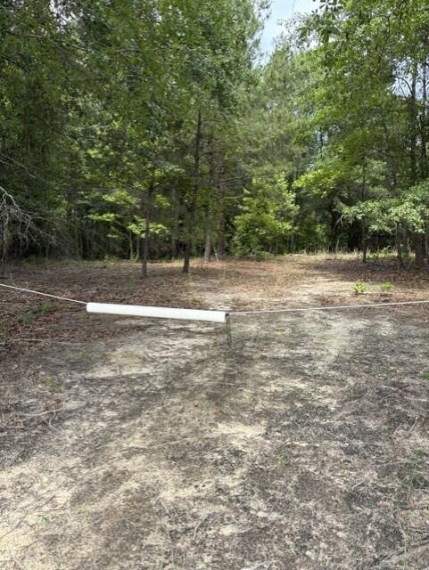 Lot A Cemetery Road Williston, SC 29853 - Photo 1 of 6