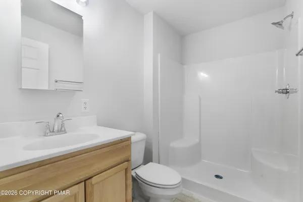 a bathroom with a sink a toilet and shower