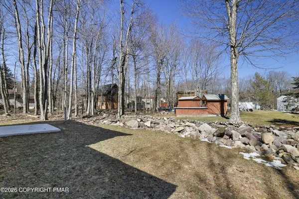 a view of a tree in the middle of a yard