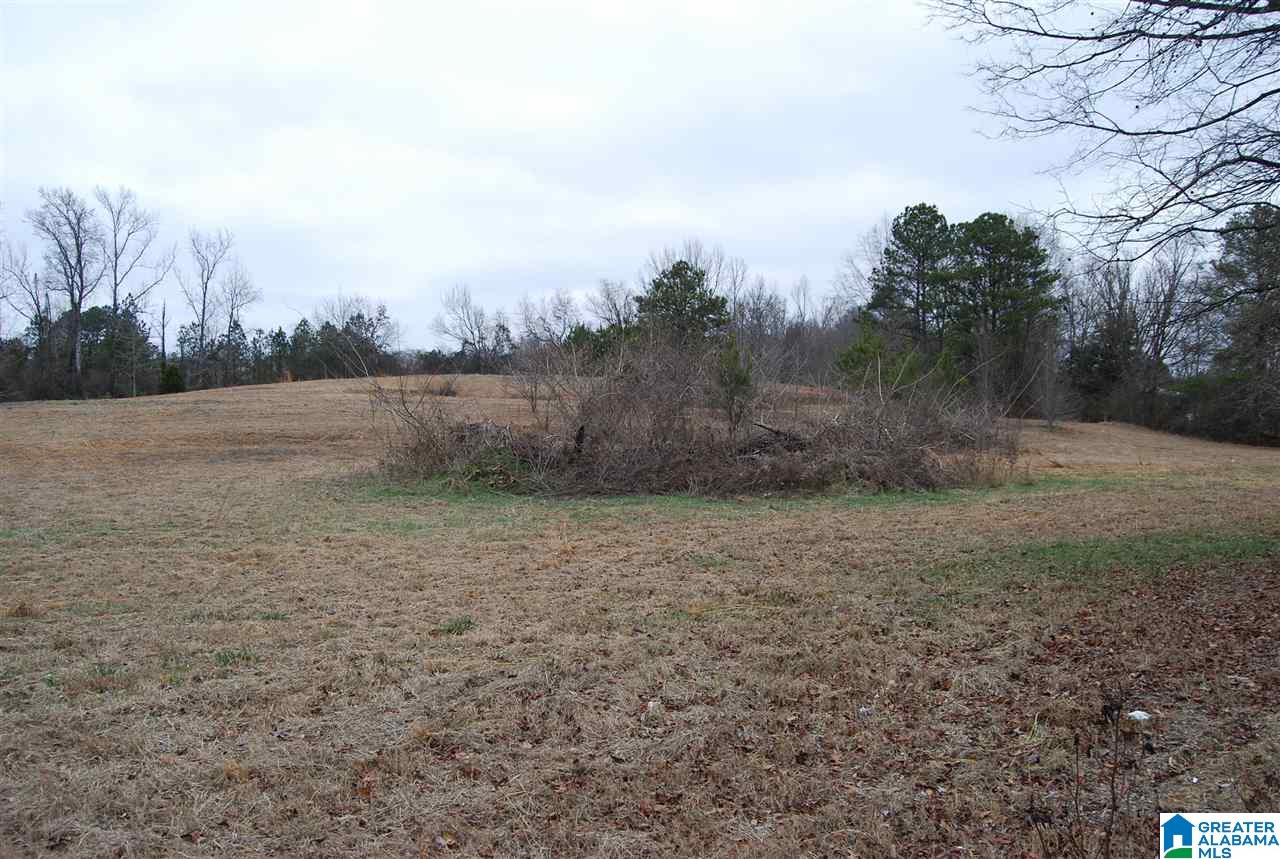 4747 Warrior Jasper Road, Unit 1 Dora, AL 35062 - Photo 2 of 9