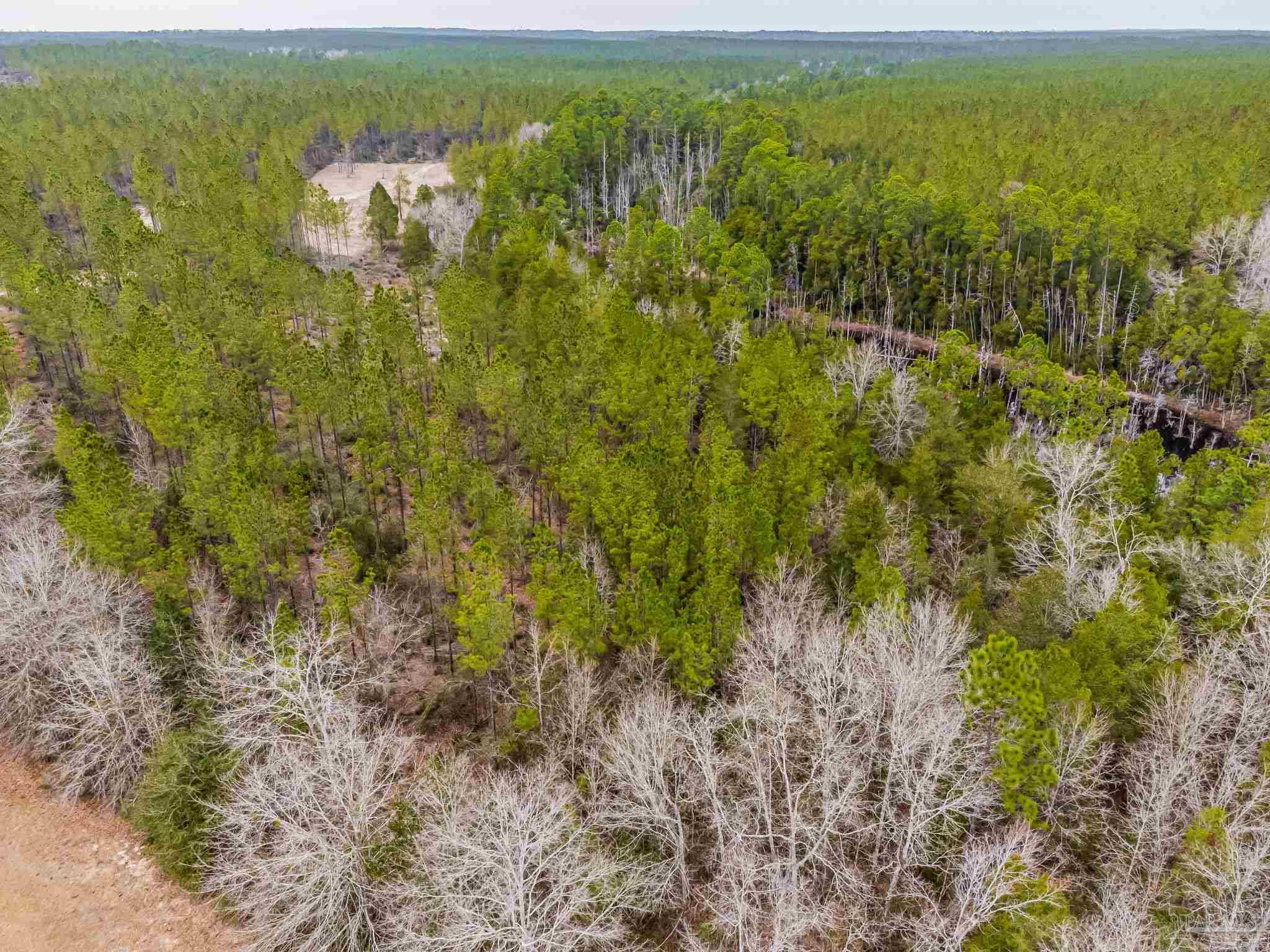9318 Indian Ford Road, Unit PARCEL B 22 45 / ACRES (APPROXIMATELY) Milton, FL 32570 - Photo 18 of 36