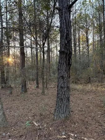 $13,000 | Lundy, Lucedale, MS 39452