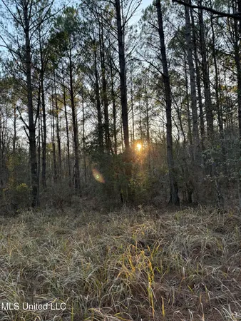 $13,000 | Lundy, Lucedale, MS 39452