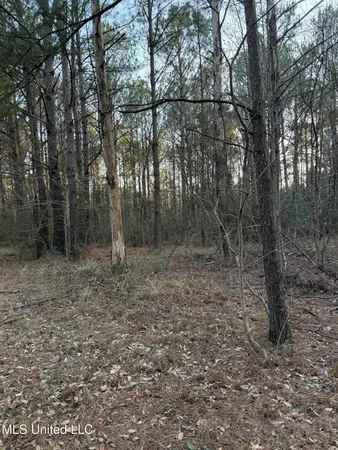 $13,000 | Lundy, Lucedale, MS 39452