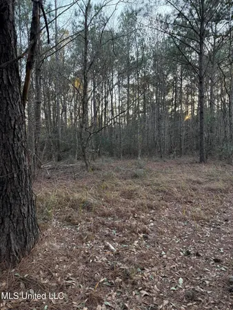 $13,000 | Lundy, Lucedale, MS 39452