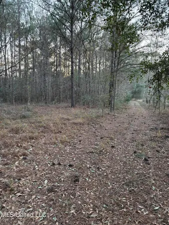 $13,000 | Lundy, Lucedale, MS 39452