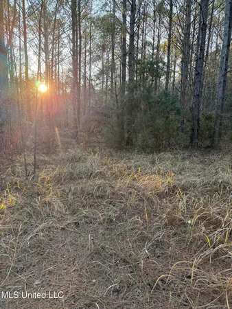 $13,000 | Lundy, Lucedale, MS 39452