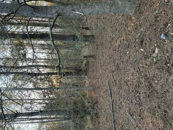 $13,000 | Lundy, Lucedale, MS 39452