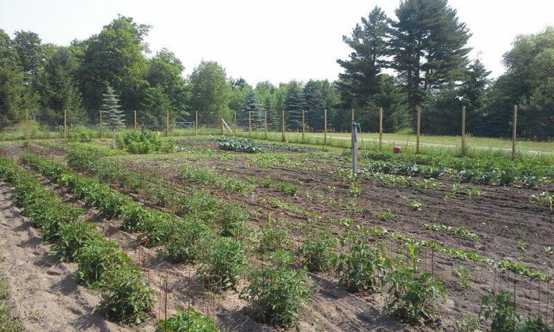 510 Garber Road Levering, MI 49755 - Photo 36 of 39 Gallery Image 36