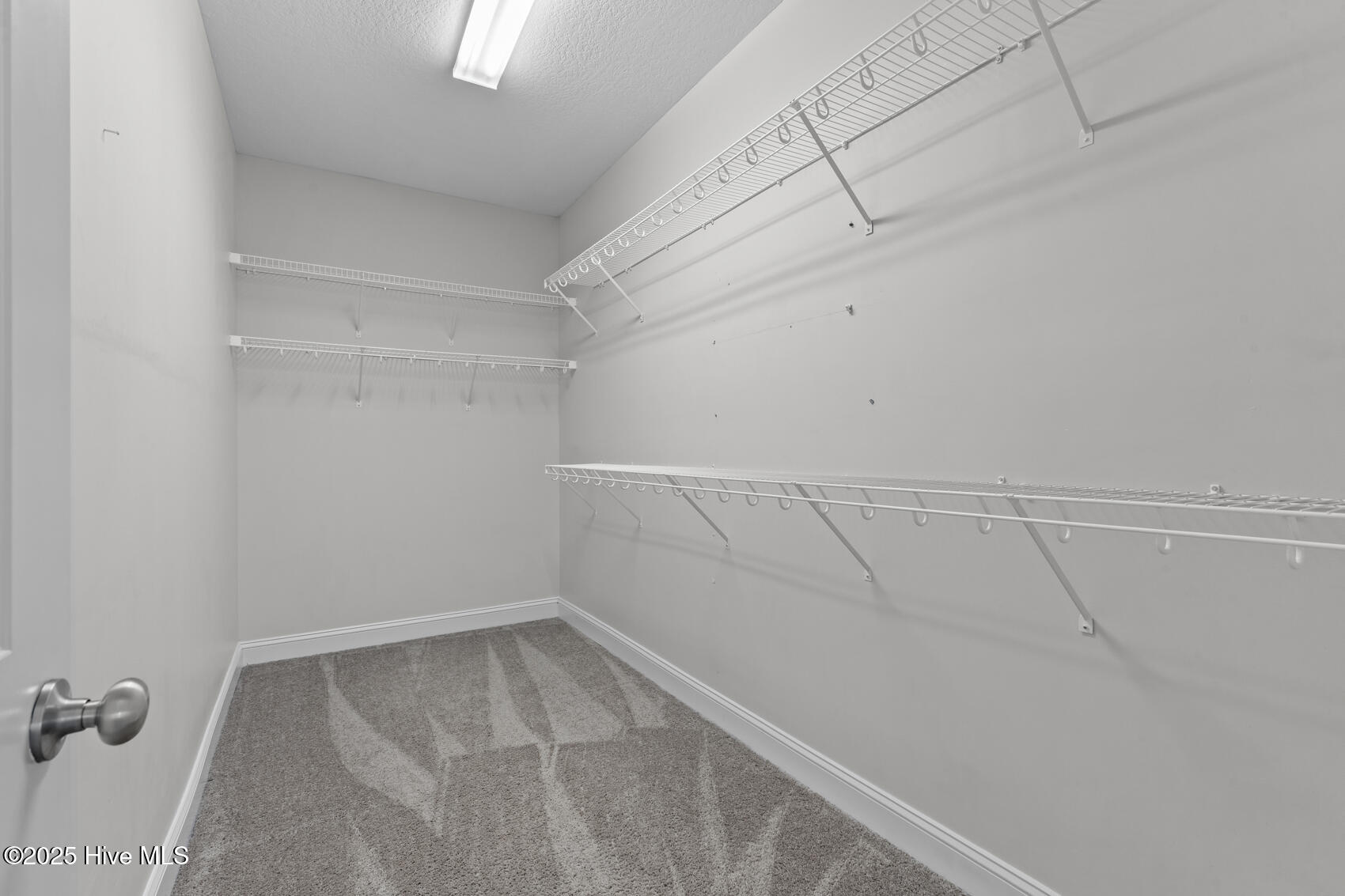 407 Tyrrell Trail Jacksonville, NC 28546 - Photo 25 of 43 Primary closet-1