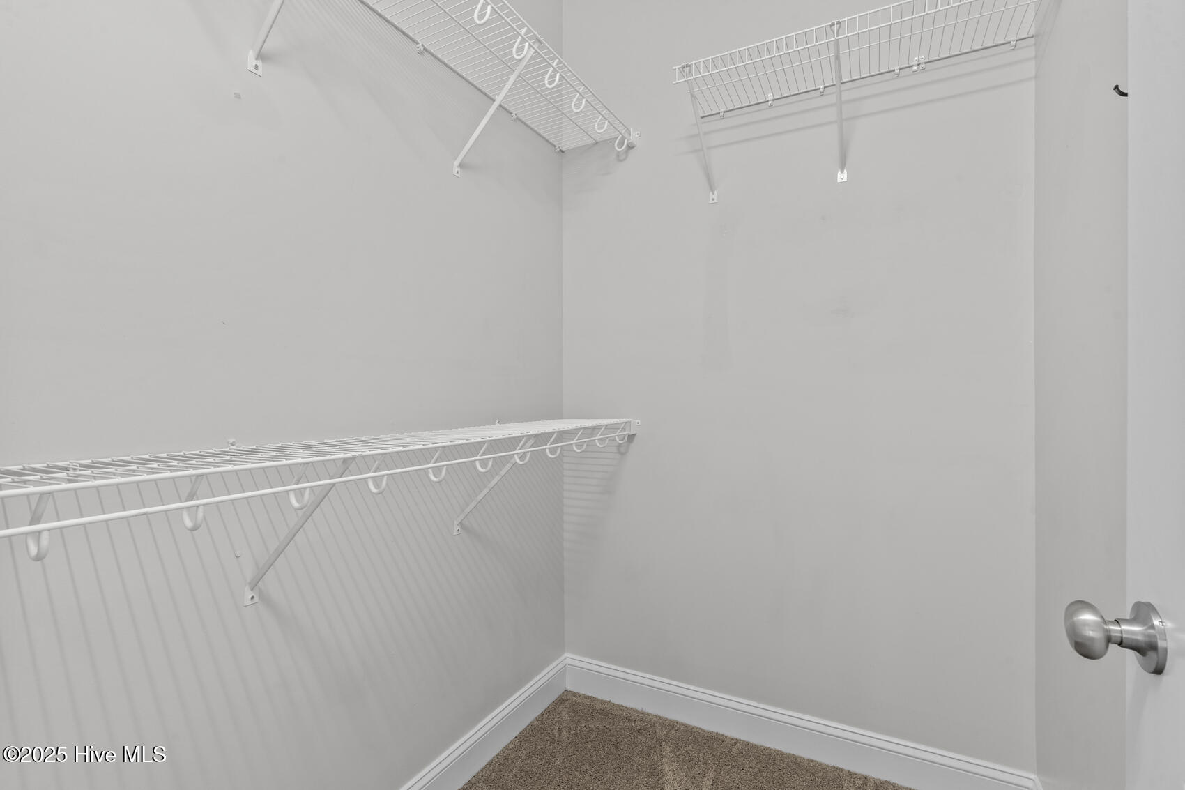 407 Tyrrell Trail Jacksonville, NC 28546 - Photo 26 of 43 Primary closet-2