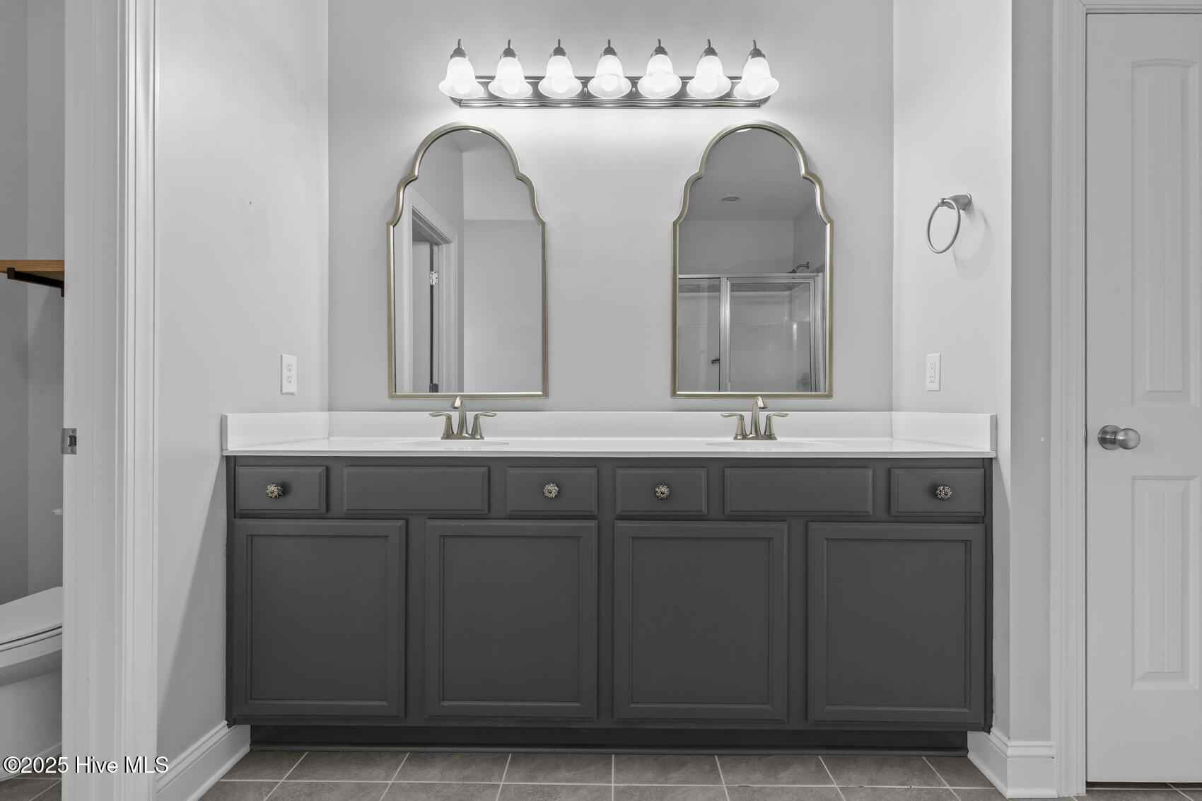 407 Tyrrell Trail Jacksonville, NC 28546 - Photo 28 of 43 Primary bath-2