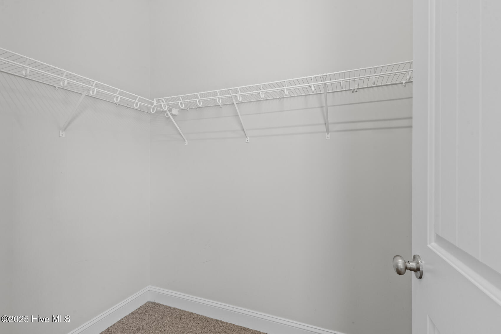 407 Tyrrell Trail Jacksonville, NC 28546 - Photo 33 of 43 Bedroom 2 closet