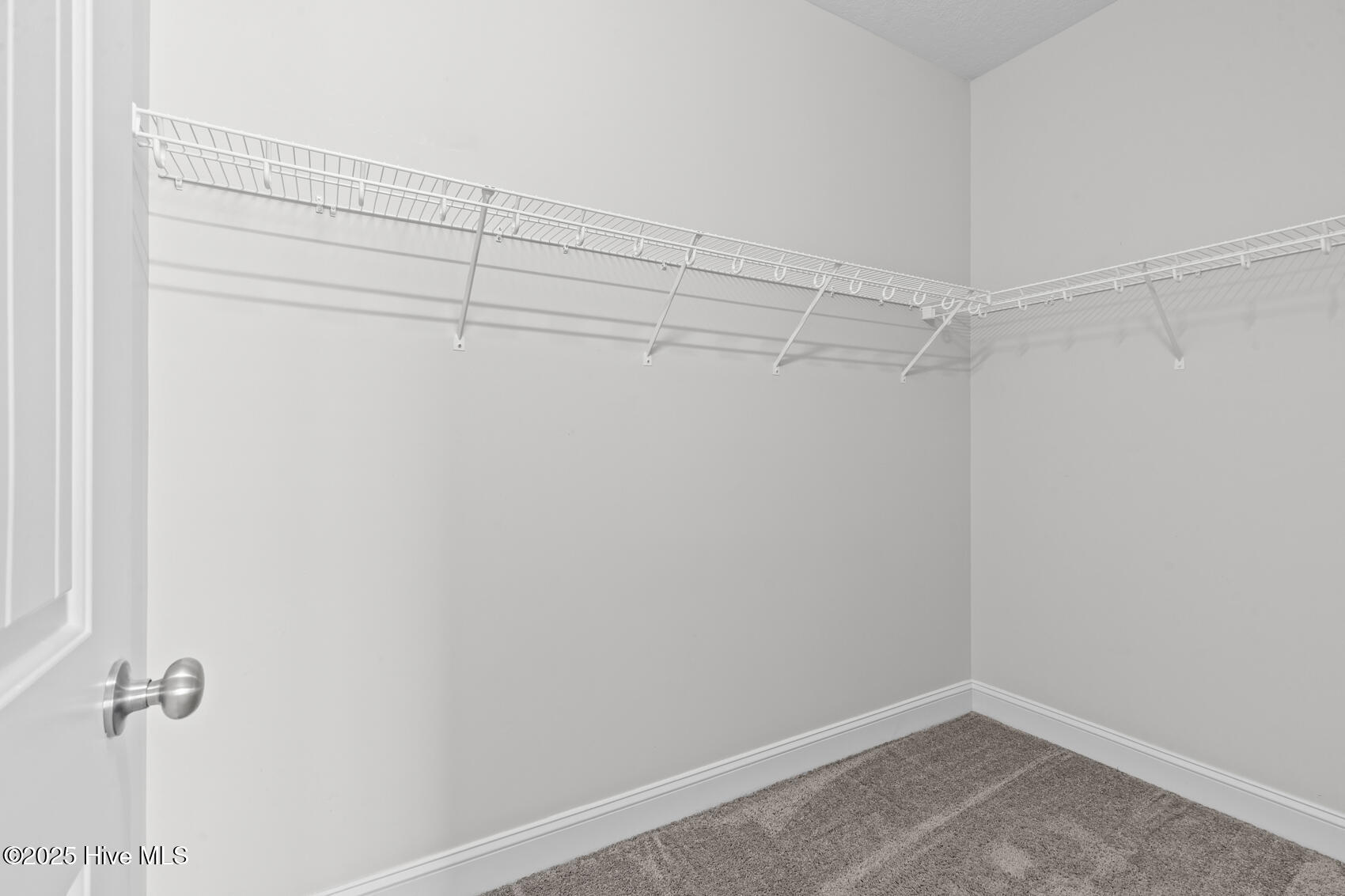 407 Tyrrell Trail Jacksonville, NC 28546 - Photo 37 of 43 Bedroom 3 closet