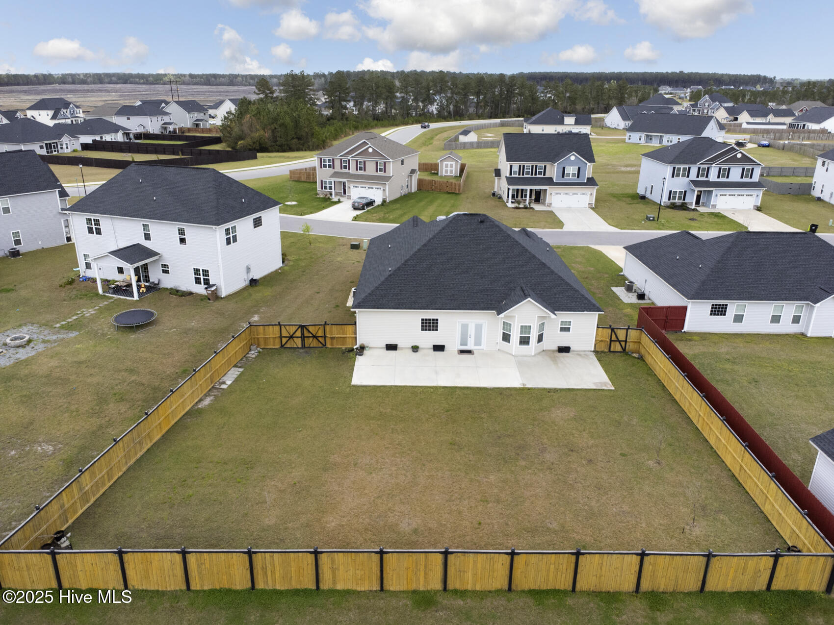 407 Tyrrell Trail Jacksonville, NC 28546 - Photo 42 of 43 Back yard
