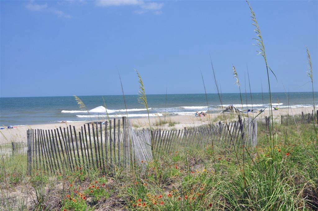 54 Brandon Way Georgetown, SC 29440 - Photo 47 of 52