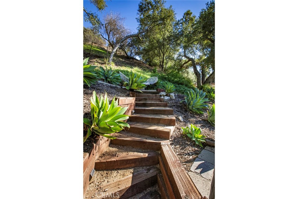 2820 East Chevy Chase Drive Glendale, CA 91206 - Photo 50 of 55 a view of a garden with plants