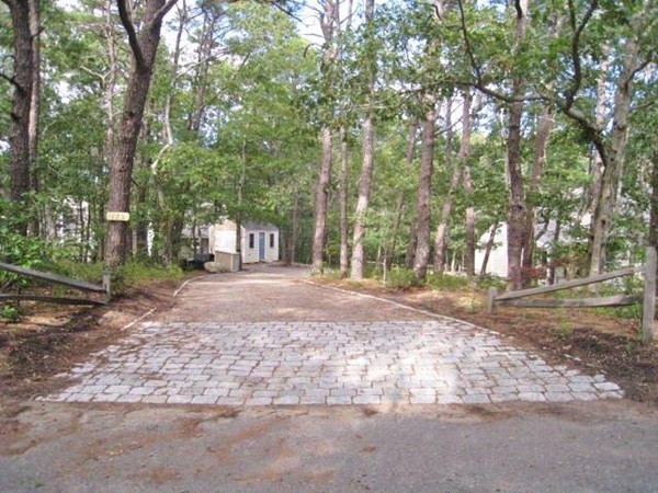 175 Pine Needle Road Wellfleet, MA 02667 - Photo 17 of 23 a view of a yard with tree s