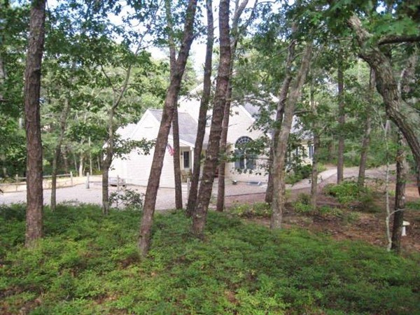 175 Pine Needle Road Wellfleet, MA 02667 - Photo 22 of 23 a backyard of a house with lots of green space