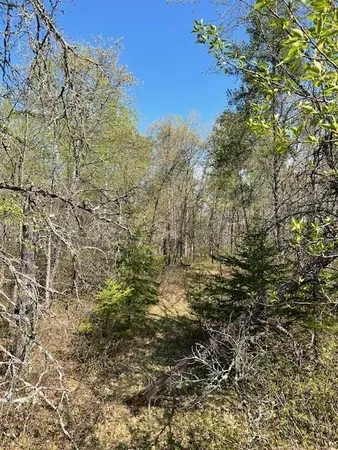 $28,900 | Tbd Tbd Mikes Road Southwest, Bemidji, MN 56601