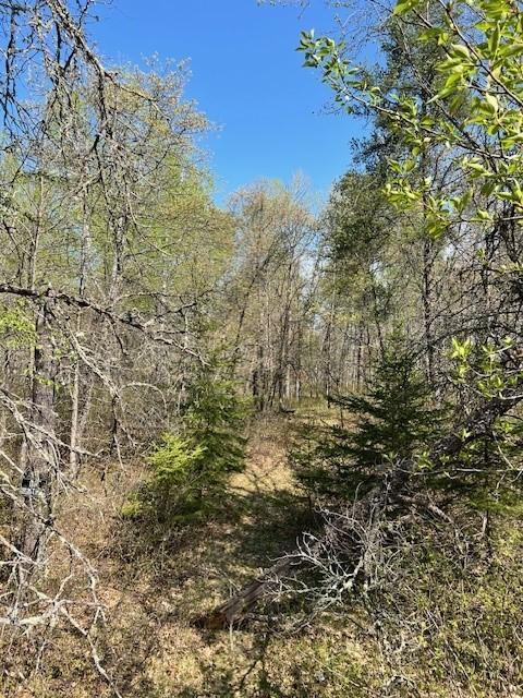 Tbd Tbd Mikes Road Southwest Bemidji, MN 56601 - Photo 1 of 4