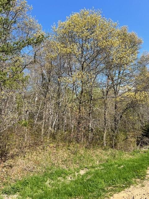 Tbd Tbd Mikes Road Southwest Bemidji, MN 56601 - Photo 4 of 4