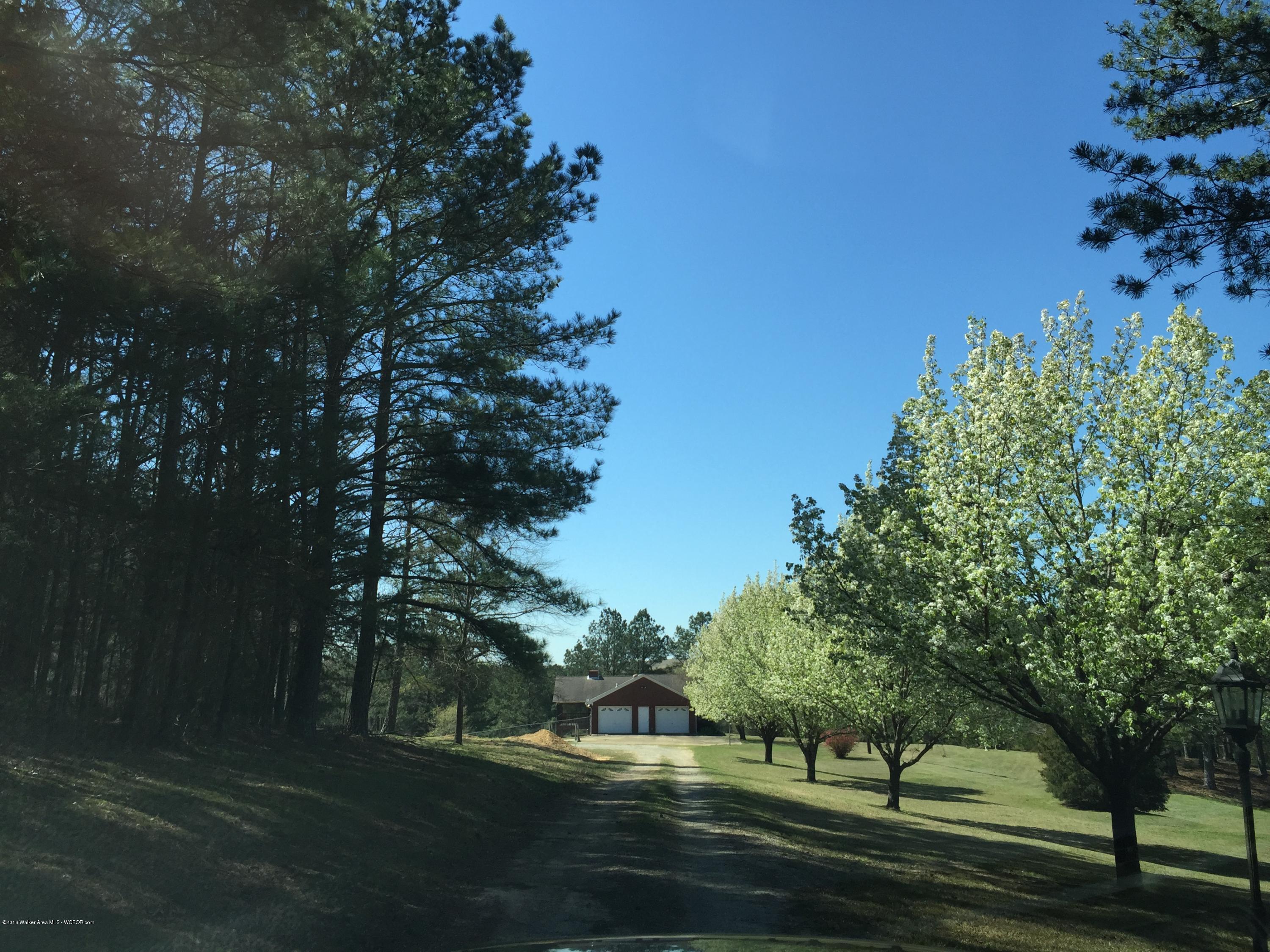 371 Gamble Mine Road Jasper, AL 35503 - Photo 10 of 12 Gallery Image 10