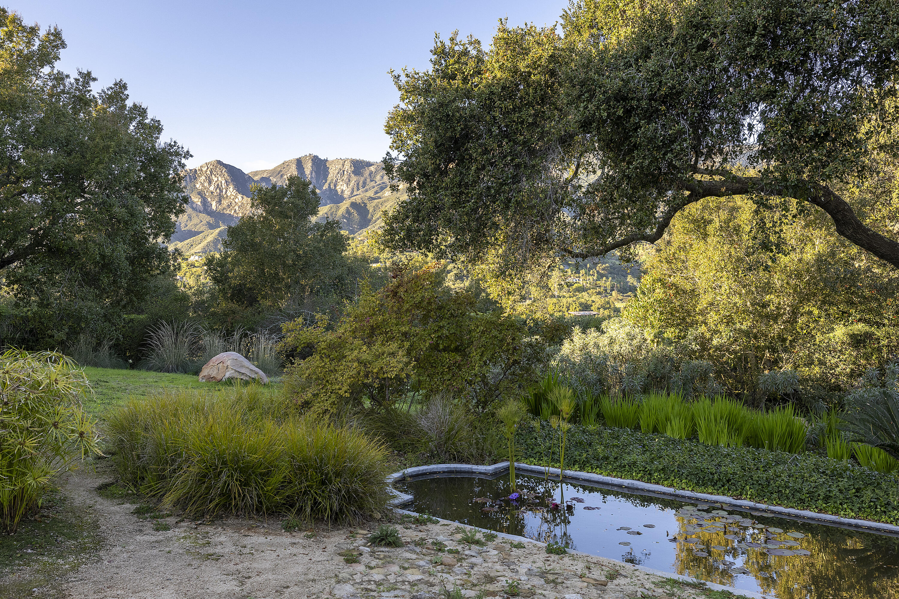 1138 Mission Ridge Road Santa Barbara, CA 93103 - Photo 19 of 54 a view of a yard with a tree