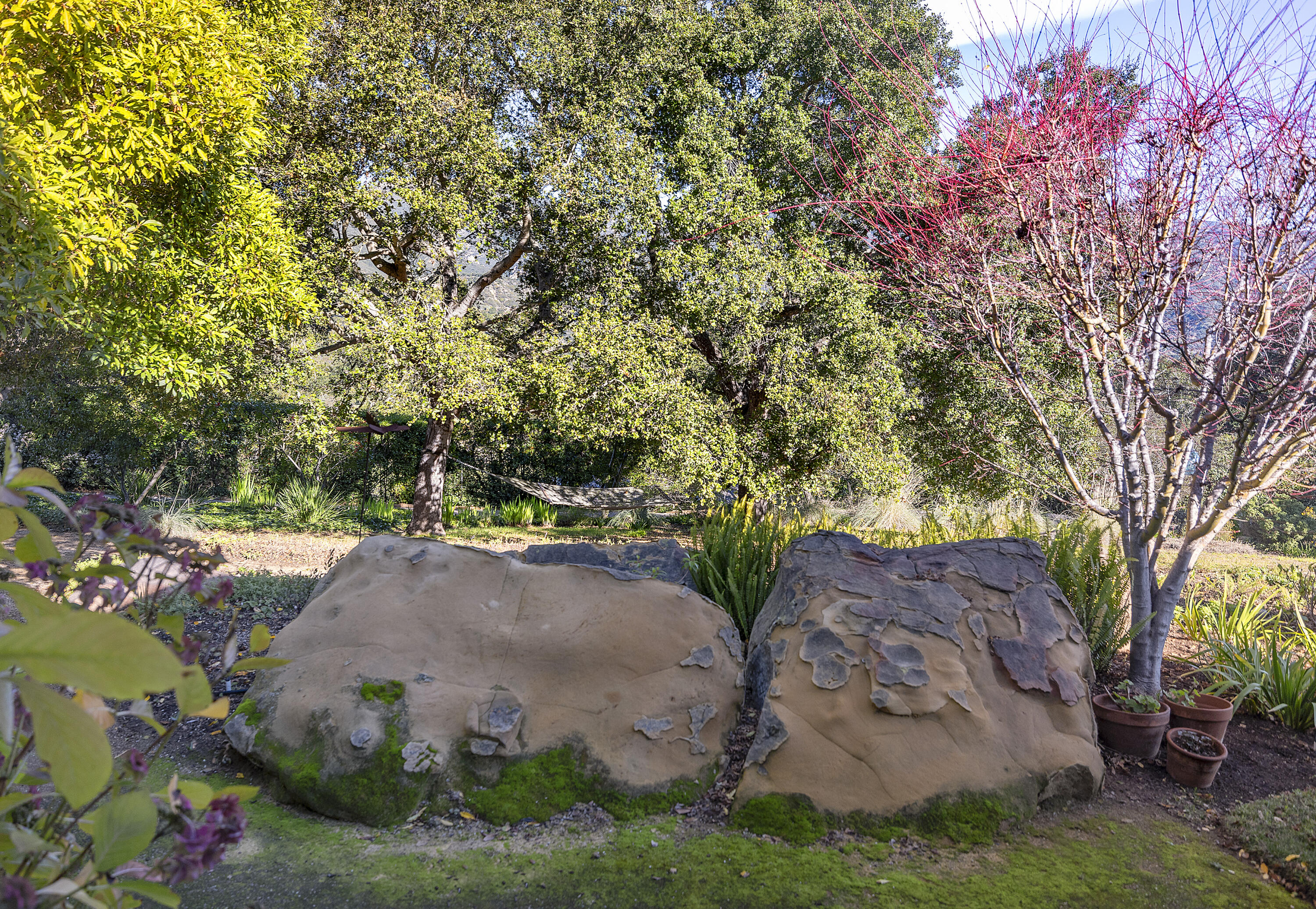 1138 Mission Ridge Road Santa Barbara, CA 93103 - Photo 22 of 54 a view of a garden with plants and trees